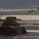 Image for article titled 'Goosebumps': Researchers Capture First Video From Under Antarctica's Most Endangered Glacier
